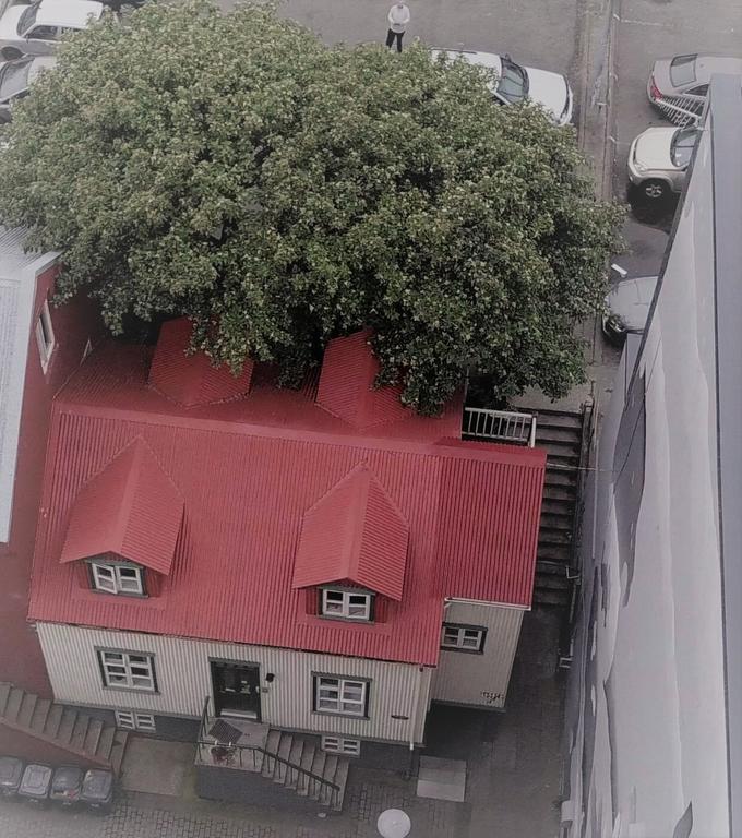Grettir Guesthouse Reykjavik Luaran gambar